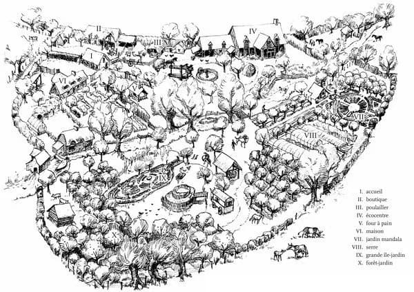 Permaculture ; guérir la terre, nourrir les hommes