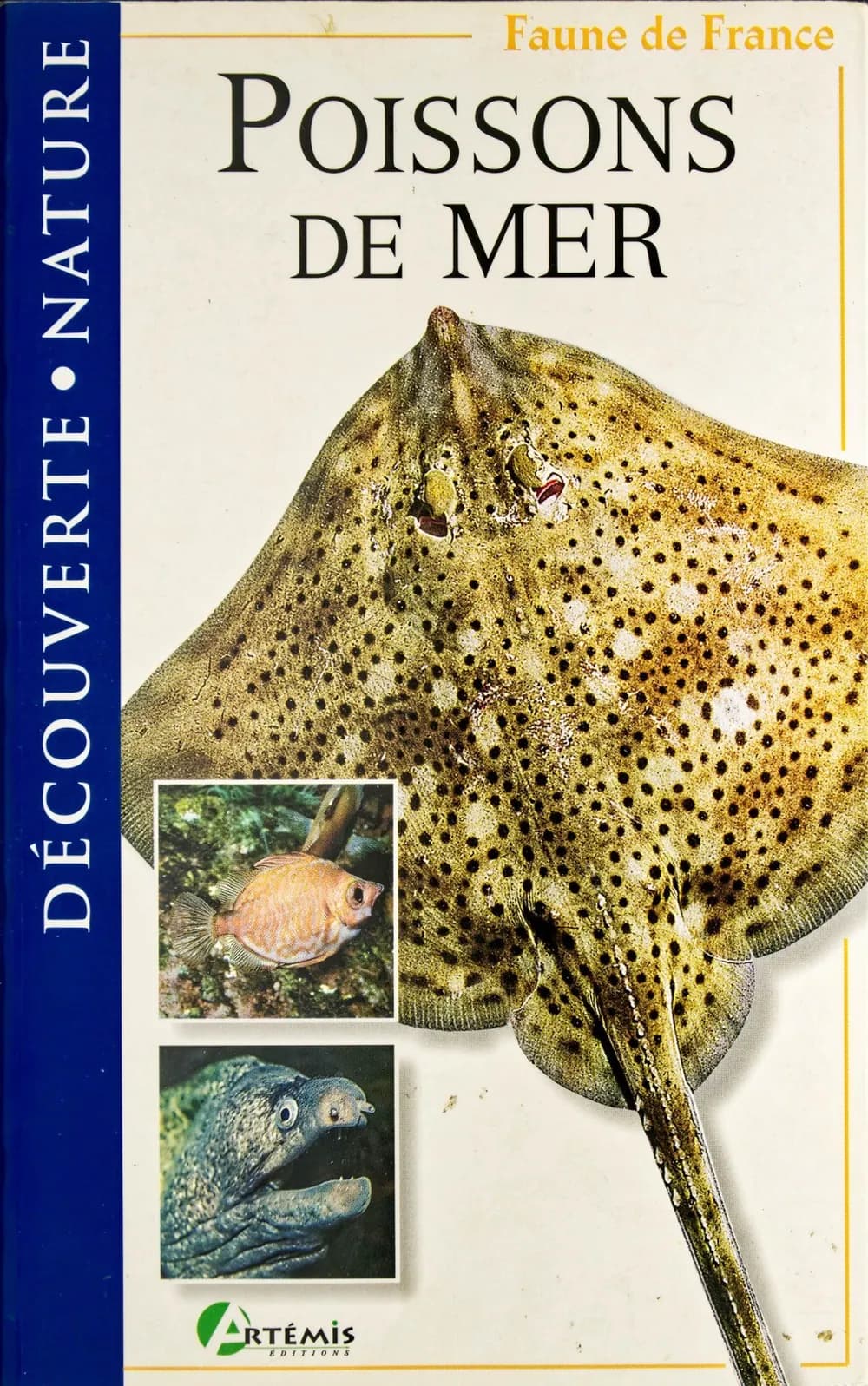 Poissons de mer
