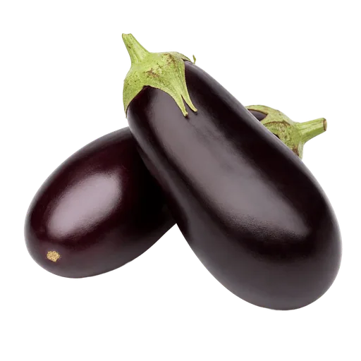 Aubergines longues