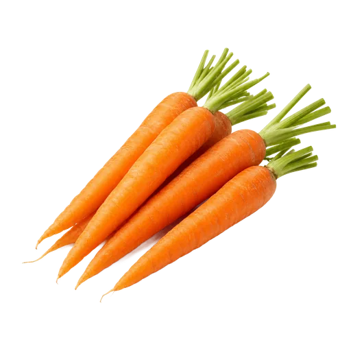 Carottes