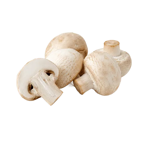 Champignons de Paris