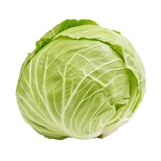 Chou blanc