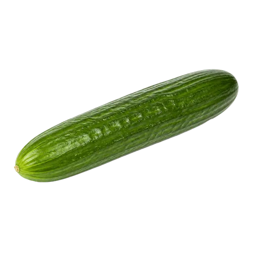 Concombre libanais