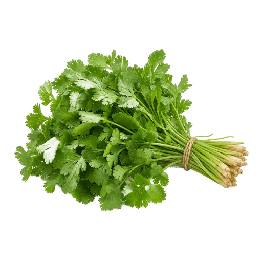 vinaigrette crémeuse à la coriandre