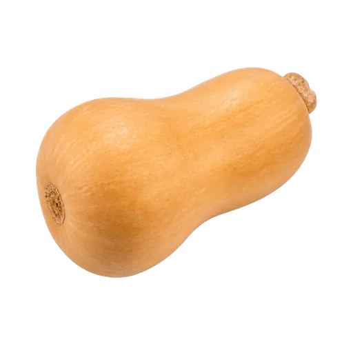 Courge musquée (Butternut)
