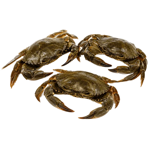 Petits crabes verts (soupe)