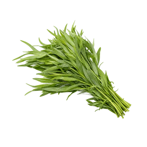 Estragon