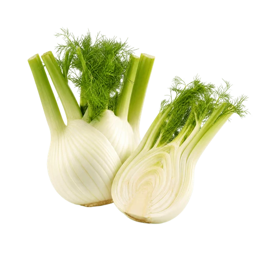 Fenouil