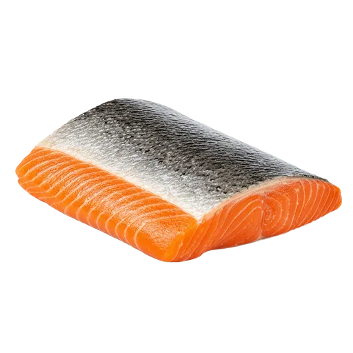 Filet de saumon frais avec peau