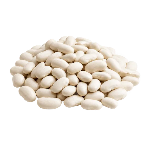 Haricots blancs secs
