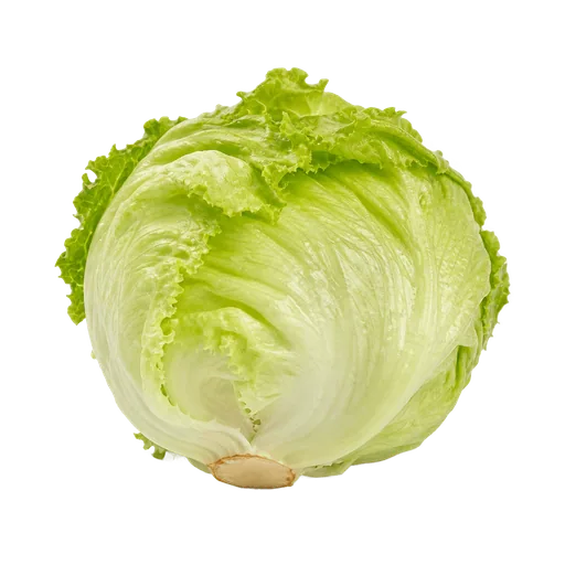 laitue romaine hachée