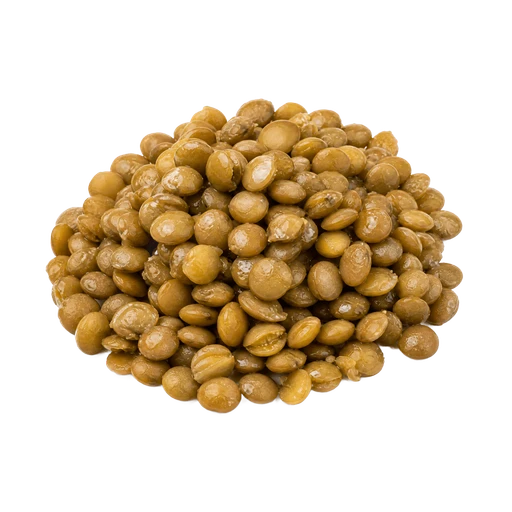lentilles cuites