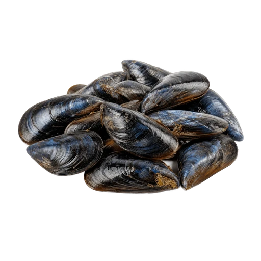 Moules nettoyées