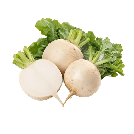 Navets blancs