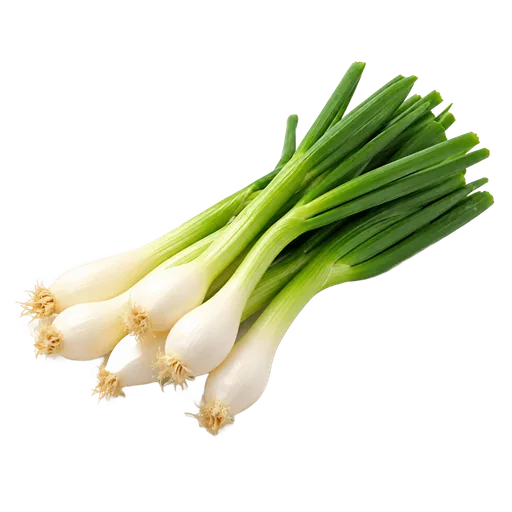 Oignons nouveaux