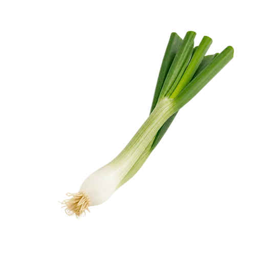 Oignon vert