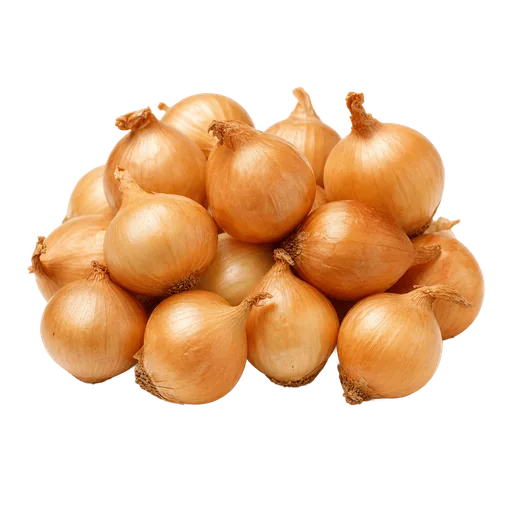 Petits oignons grelot