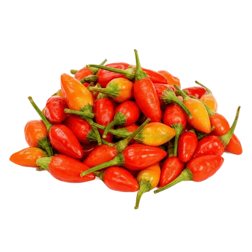 Piment oiseau
