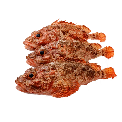 Poissons de roche (soupe)