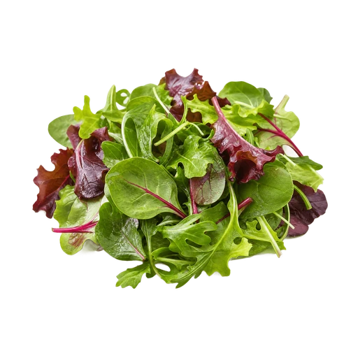 jeunes pousses de salade mélangées