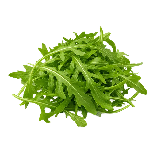 Roquette