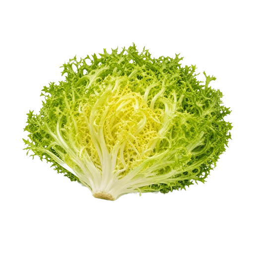 Salade frisée
