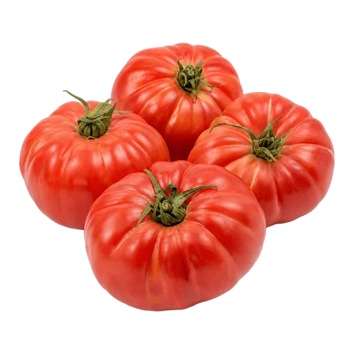 tomates hachées